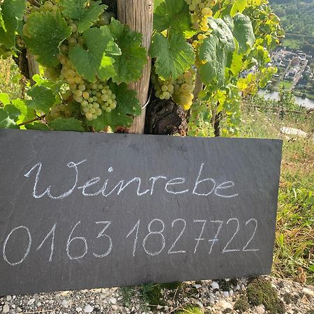 Weinrebe Apartment แบร์นคาสเทล-คืสท์ ภายนอก รูปภาพ